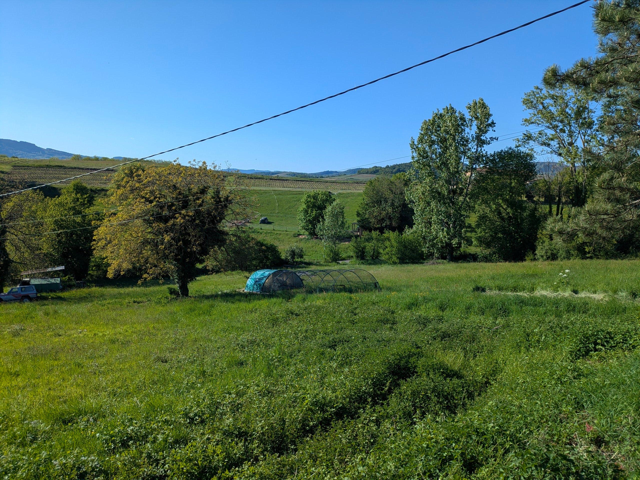 Notre ferme avicole au cœur du Beaujolais